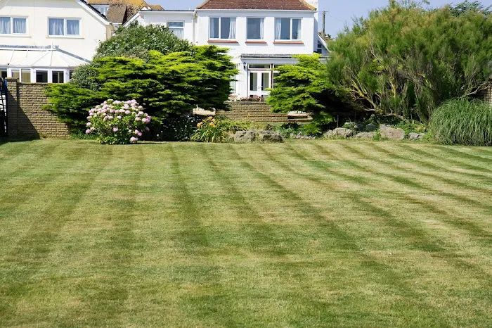 Grow Lawn and Landscape Picture 10