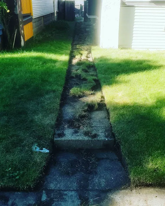Trimmers Landscaping LLC Picture 9