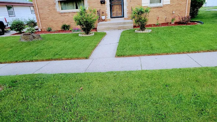 Trimmers Landscaping LLC Picture 6