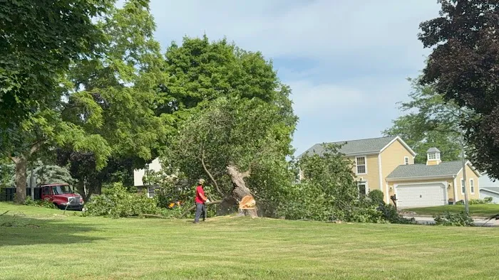 Crawford Tree & Landscape Services, Inc. Picture 5