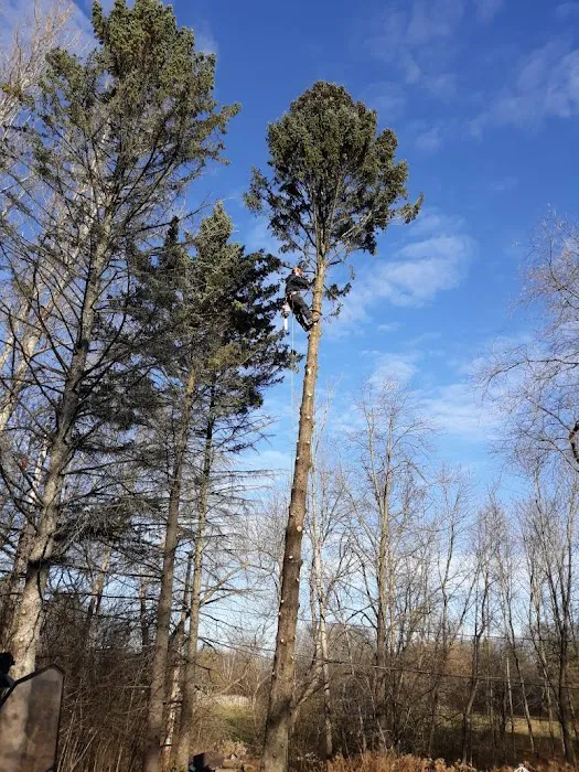 Crawford Tree & Landscape Services, Inc. Picture 4