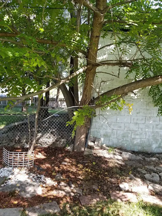 Crawford Tree & Landscape Services, Inc. Picture 2