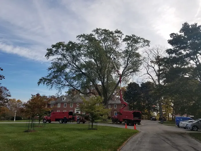 Crawford Tree & Landscape Services, Inc. Picture 1