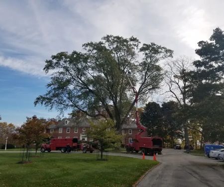 Crawford Tree & Landscape Services, Inc.
