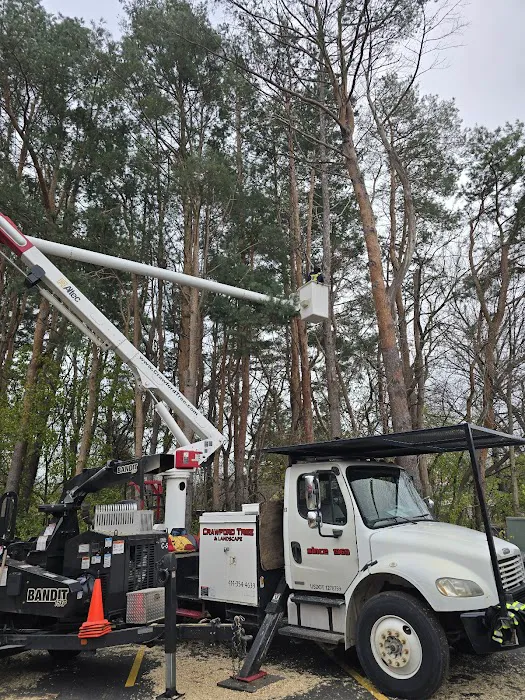 Crawford Tree & Landscape Services, Inc. Picture 7