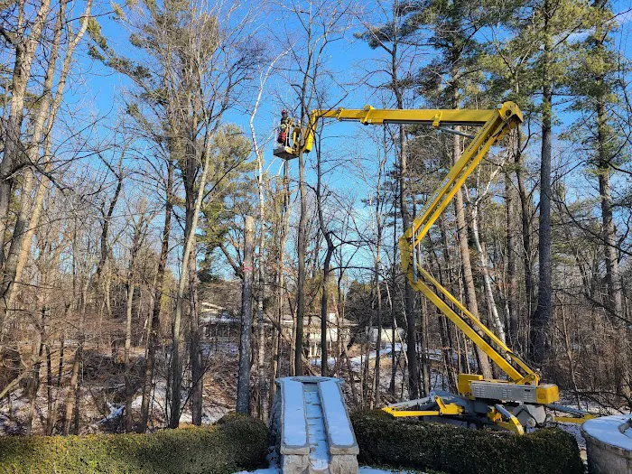 Crawford Tree & Landscape Services, Inc. Picture 10