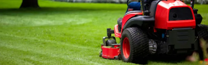 All Season Lawn Care & Landscaping Picture 2