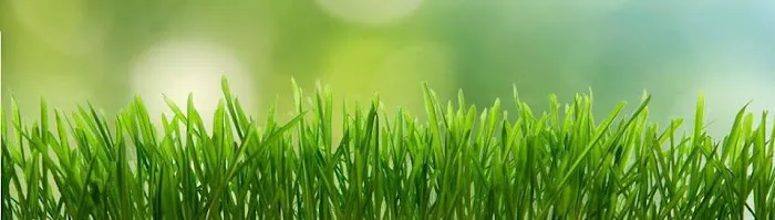 BK Landscape Contracting & Supplies Picture 4