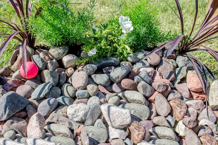 Skarda Landscape Supply Picture 7