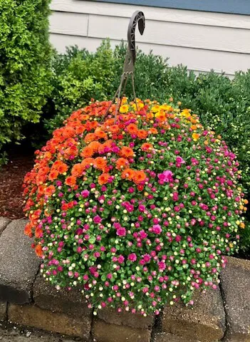 Wendland Landscape Services, Inc. And Nursery Picture 2