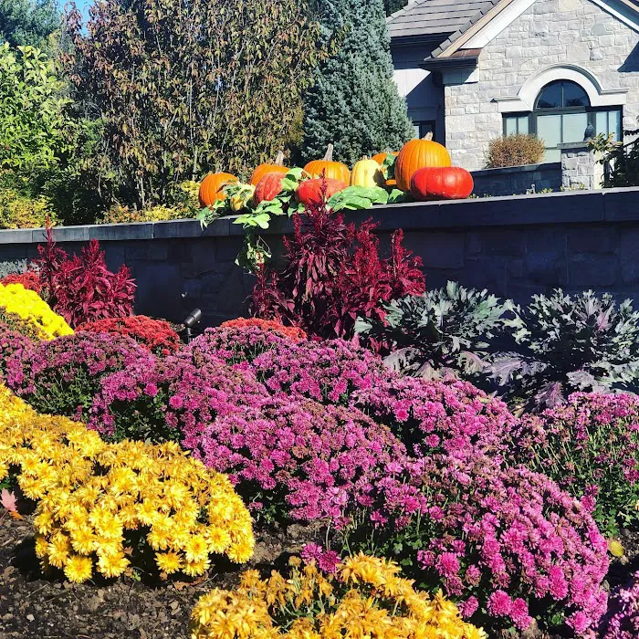 Northern Exposure Landscaping Picture 4