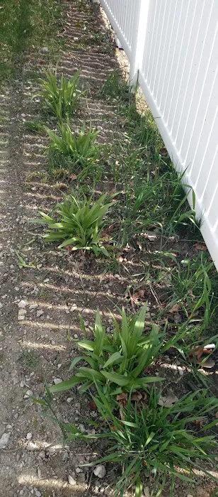 AAB landscaping LLC Picture 8