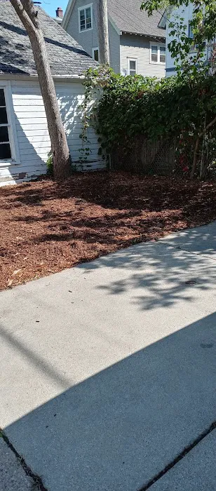 AAB landscaping LLC Picture 6