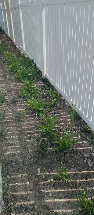 AAB landscaping LLC Picture 7