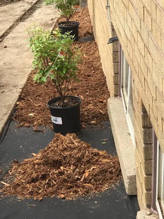 AAB landscaping LLC Picture 9