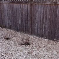 AAB landscaping LLC ico