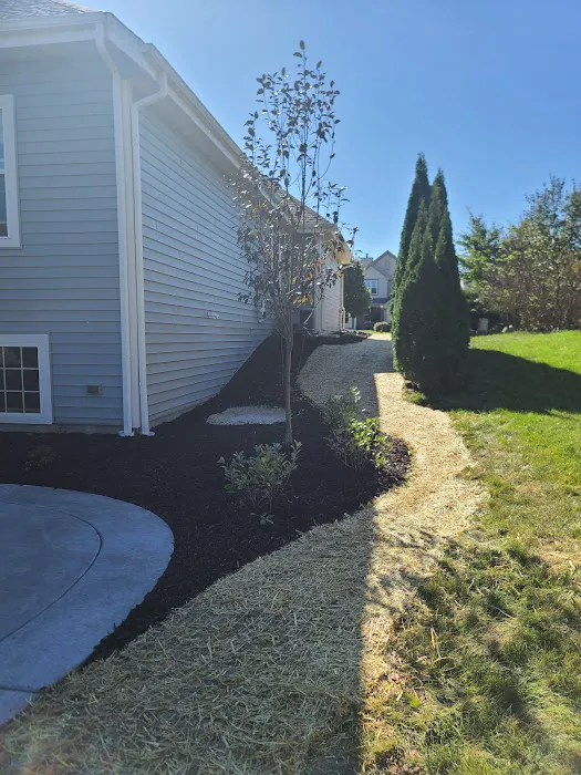 Terra Tec Landscapes, Inc Picture 8
