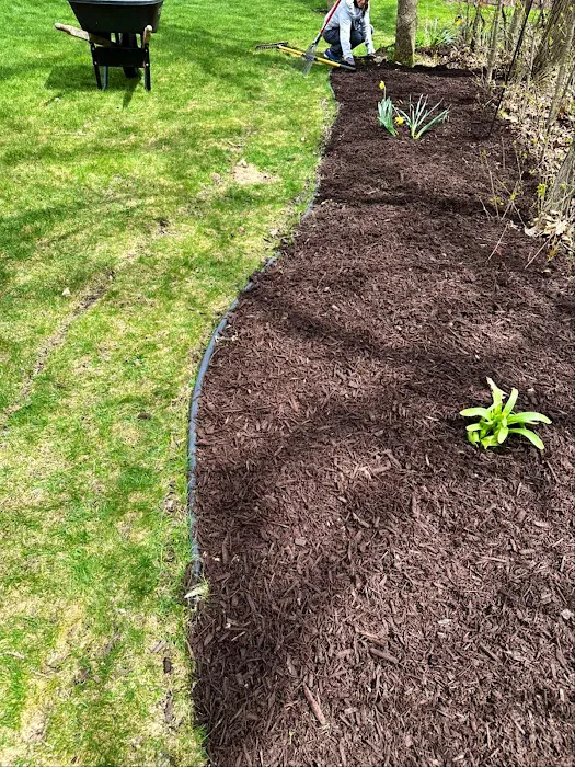 DAVID'S LAWN SERVICES LLC Picture 2