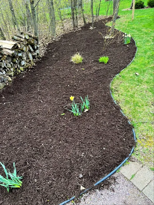DAVID'S LAWN SERVICES LLC Picture 4