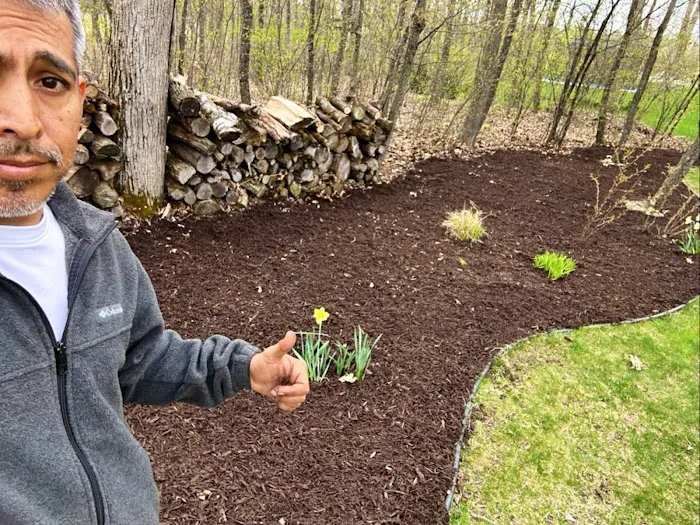 DAVID'S LAWN SERVICES LLC Picture 7