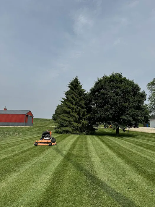 Magnolia Landscaping LLC Picture 3