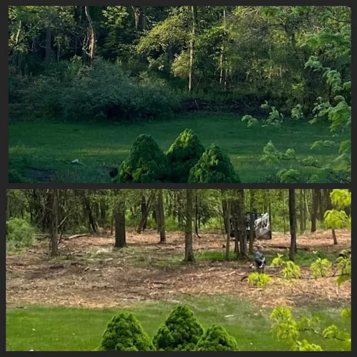 Midwest Land Solutions Picture 7