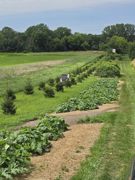 Midwest Land Solutions Picture 3