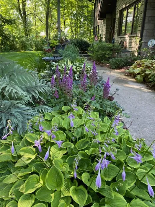 Lammscapes - Landscape Design, Install & Maintenance Services Picture 2