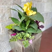 Lammscapes - Landscape Design, Install & Maintenance Services ico