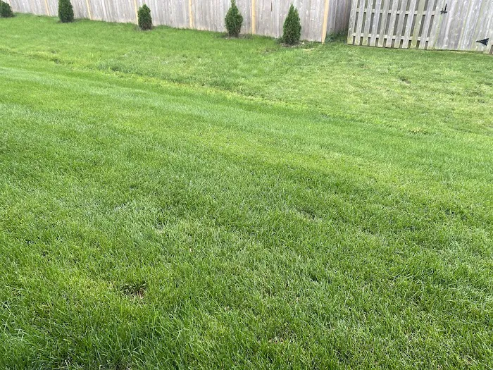 Mike's Sod and Landscaping Picture 9