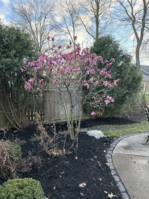 Deater Brothers Lawn & Tree Care, LLP Picture 4