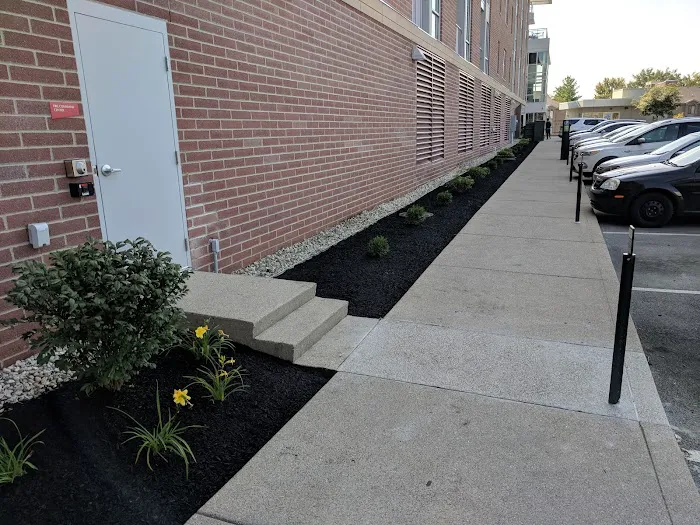 Quality Landscape & Design Picture 7