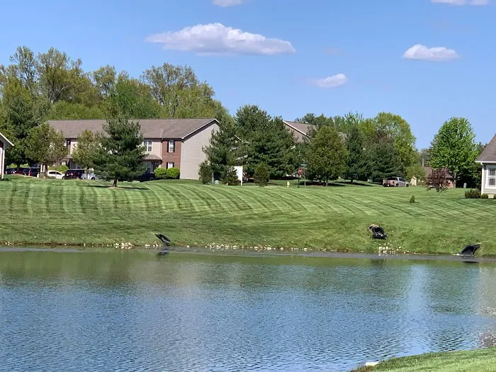 Websters' Lawn & Land llc Picture 7