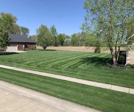 Websters' Lawn & Land llc