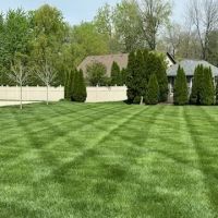 Greenwood Turf Management, LLC ico