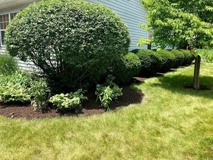 Greenwood Turf Management, LLC Picture 9