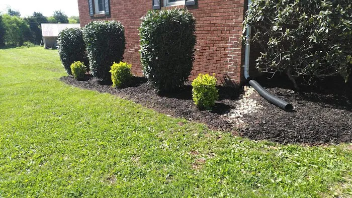 Quality Lawn Care Picture 4