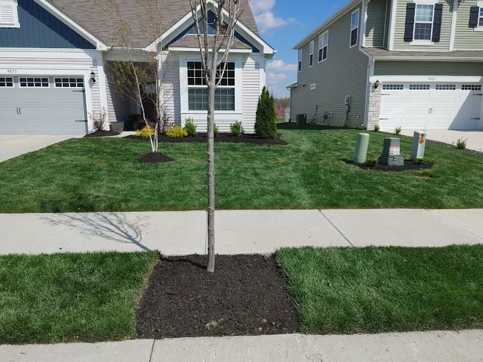 Quality Lawn Care Picture 10