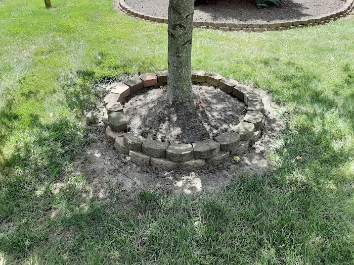 Quality Lawn Care Picture 1