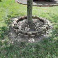 Quality Lawn Care ico