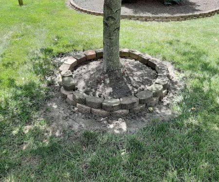Quality Lawn Care