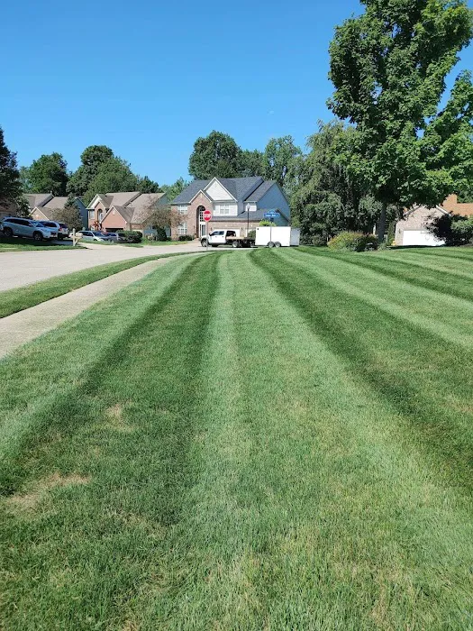 Quality Lawn Care Picture 2