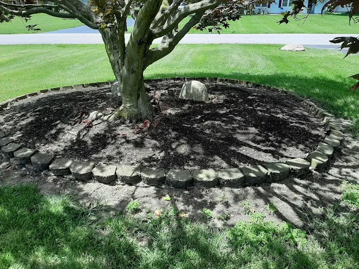 Quality Lawn Care Picture 5