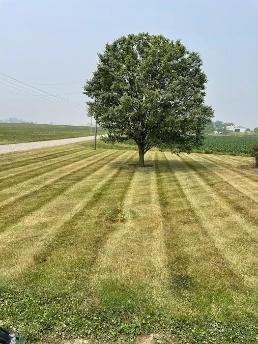 Rodriguez Lawn Services LLC Picture 5