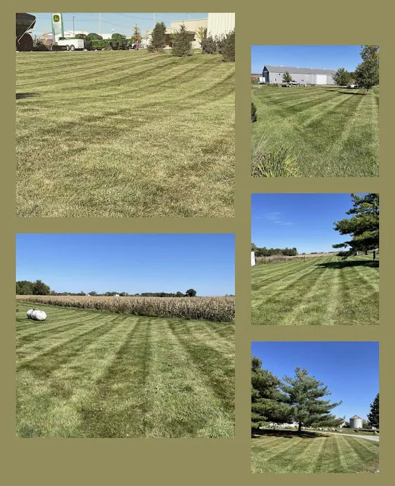 Rodriguez Lawn Services LLC Picture 1