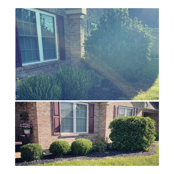 Rodriguez Lawn Services LLC Picture 6