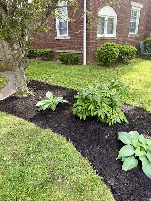 Integrity Lawns, Landscaping, and Tree Removal Picture 3