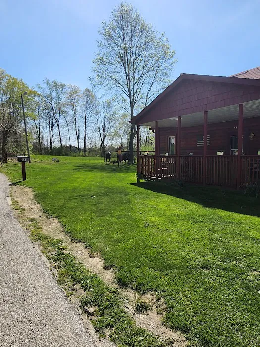 Reynolds Lawn Care Picture 7