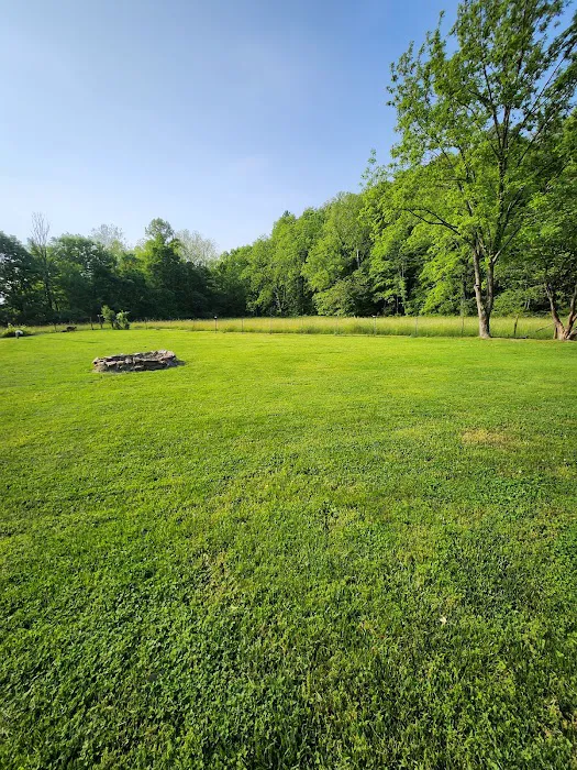 Reynolds Lawn Care Picture 3