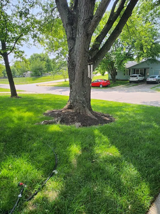 Reynolds Lawn Care Picture 9